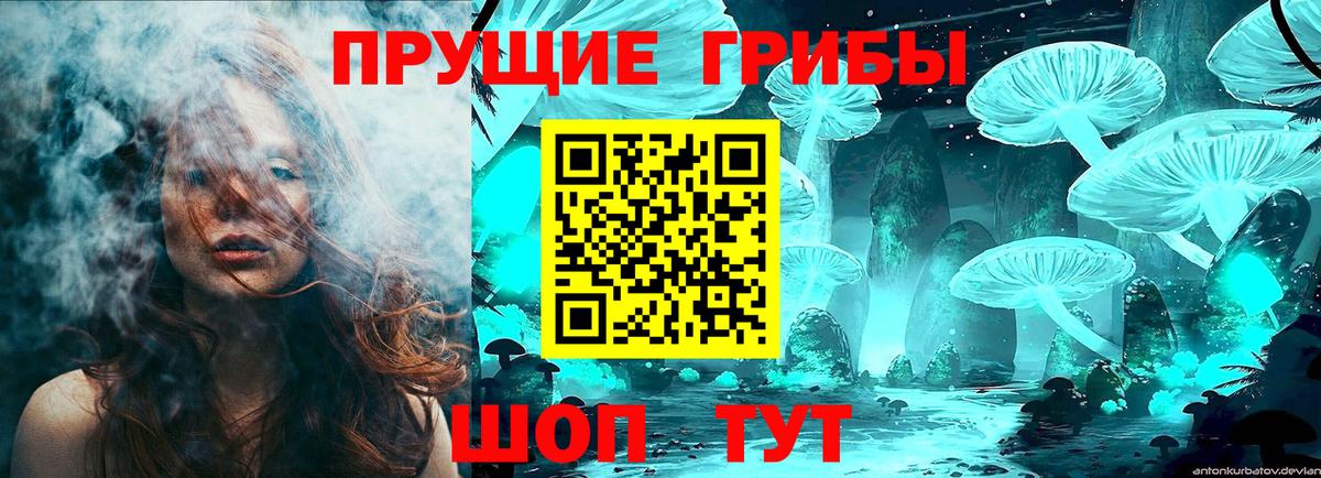 Галлюциногенные грибы Psilocybine cubensis  Галлюциногенные грибы GOLDEN TEACHER  Новозыбков  Вход с VPN 