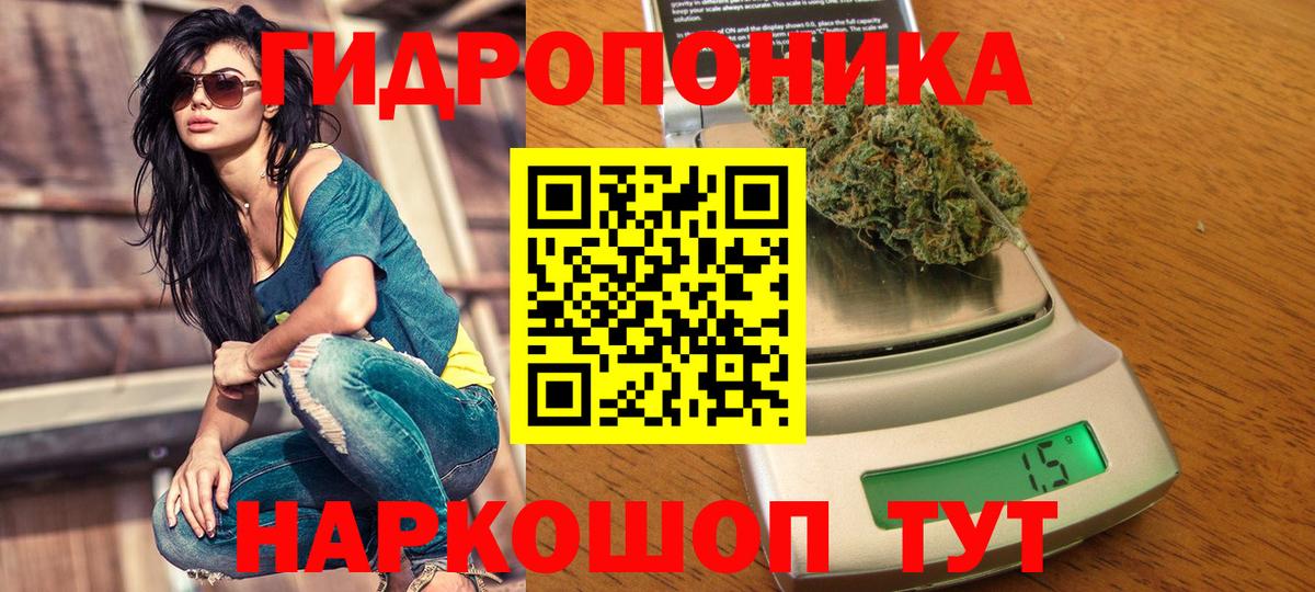 Канабис план Новозыбков
